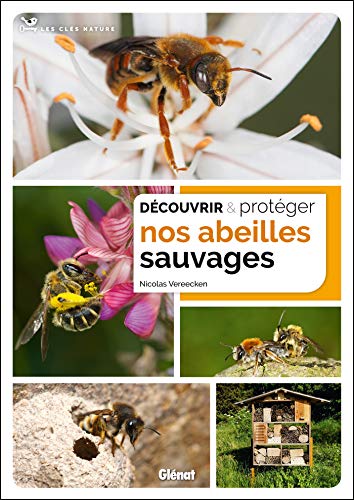 Découvrir et Protéger nos Abeilles Sauvages (Paperback)