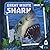 Great White Shark