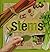 Stems (Plant Parts)
