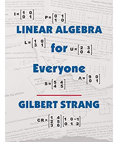 Linear Algebra for Everyone (Hardcover)