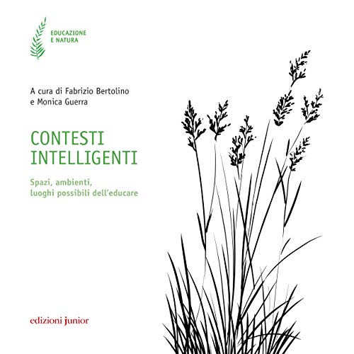 Contesti intelligenti (Paperback)