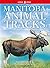Manitoba Animal Tracks