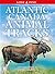 Atlantic Canada Animal Tracks