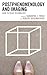 Postphenomenology and Imaging by Samantha J. Fried