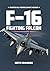 F-16 Fighting Falcon