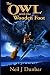 The Owl with the Wooden Foot by Neil J Dunbar