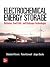 Electrochemical Energy Storage
