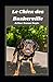 Le Chien des Baskerville