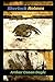 The Adventures of Sherlock Holmes Annotated And Illustrated book