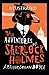 The Adventures of Sherlock Holmes Illustrated