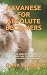 Havanese for Absolute Begin...