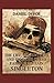 The Life, Adventures & Piracies of the Famous Captain Singleton Illustrated