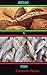 Bread & Fish