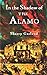In the Shadow of the Alamo