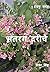 Satrang Dareechey by Abha Singh