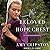 The Beloved Hope Chest (The Amish Heirloom Series)
