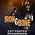 Iron & Bone (The Lock & Key Series)
