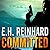 Committed (The Agent Hank Rawlings FBI Thrillers Series)