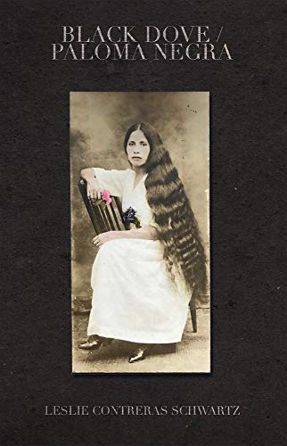 Black Dove/Paloma Negra (Paperback)