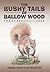 The Bushy Tails of Ballow Wood: The Learning Curve