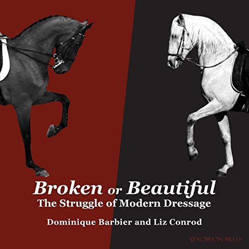 Broken or Beautiful (Paperback)