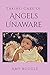 Taking Care of Angels Unaware by Amy Buggle