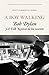 A Boy Walking. Bob Dylan y el Folk Revival de los sesenta