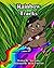 Rainbow Tracks