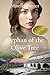 Orphan of the Olive Tree
