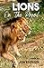 Lions On the Prowl by Jon Arensen