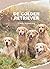 De Golden Retriever