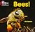 Bees!: Band 02B/Red B (Collins Big Cat Phonics for Letters and Sounds)