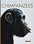 Chimpanzees (Amazing Animals)
