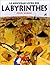 Le nouveau livre des labyrinthes by Jesús Gabán