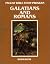 Galatians and Romans: Workbook