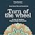 Turn of the wheel by Gwyneth Box