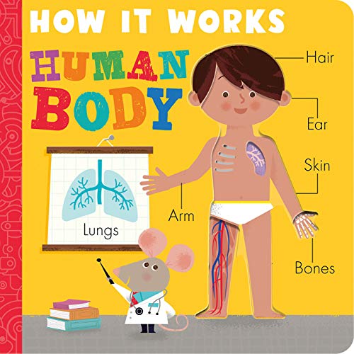 How It Works Human Body (Board book)