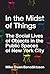 In the Midst of Things: The Social Lives of Objects in the Public Spaces of New York City