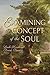 Examining the Concept of the Soul (World Philosophy)