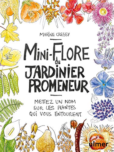 Mini-Flore du Jardinier Promeneur (Paperback)
