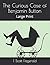 The Curious Case of Benjamin Button: Large Print