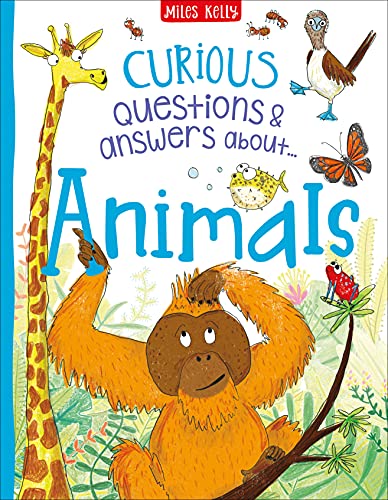 Curious Questions & Answers About… Animals (Hardcover)