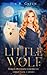 Little Wolf (Torrin Pedersen Chronicles, #1)