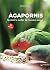 Agapornis by Niditto.Piu
