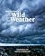 New Zealand's Wild weather