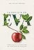 La envidia de Eva (The Envy of Eve) (Spanish Edition)