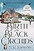 Birth of the Black Orchids by M R Dimond