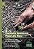 Decolonial Feminisms, Power and Place: Sentipensando with Rural Women in Colombia