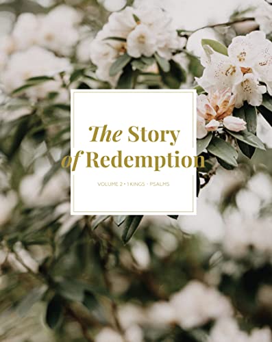 The Story of Redemption: Volume 2 (Paperback)