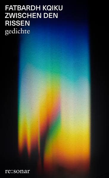 Zwischen den Rissen (Paperback)